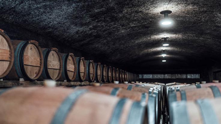 Zgodba vinogradništva Movia sega v začetek osemnajstega stoletja.